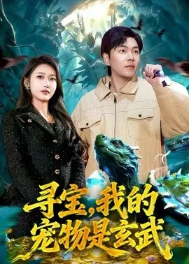 寻宝,我的宠物是玄武